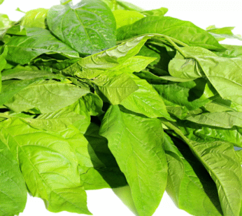 Bitter Leaves (Fresh)