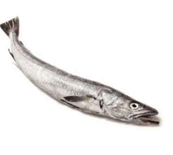 Frozen (Hake) Panla Fish
