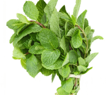 Mint Leaves