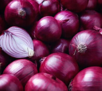 Onion (Red)
