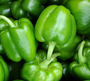 Green Bell Pepper