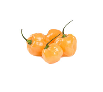 Pepper – Yellow Habanero